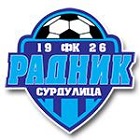 surdulica logo