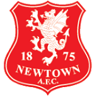Newtown logo